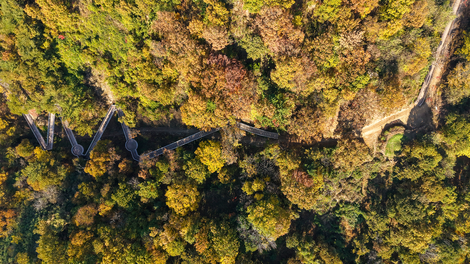 용두산생태공원